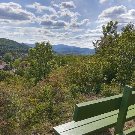 Ferienhaus Paulina Villa Wernigerode Kültér fotó